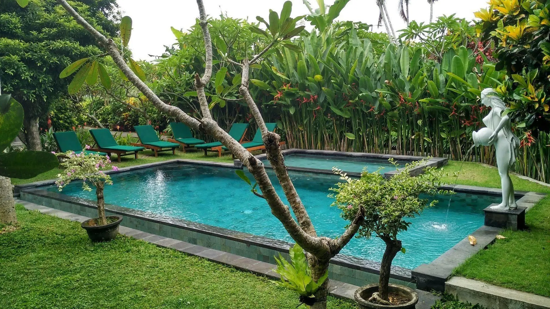 Nyoman Sandi Guest House Ubud